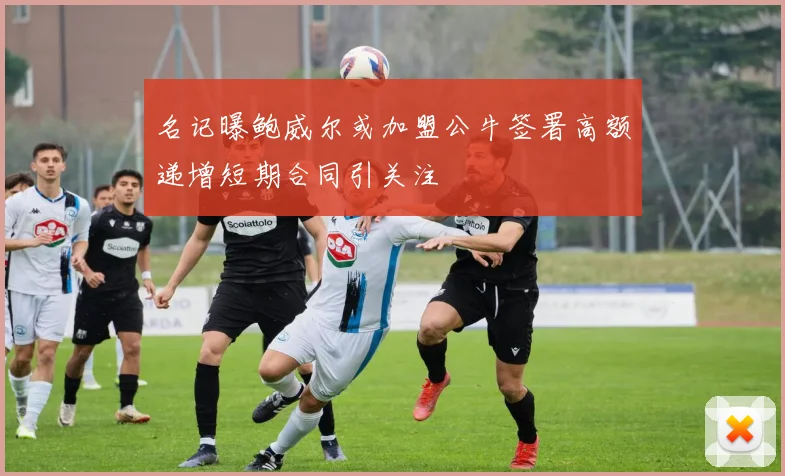名记曝鲍威尔或加盟公牛签署高额递增短期合同引关注